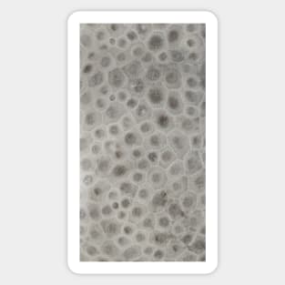 Petoskey Stone Pattern Sticker